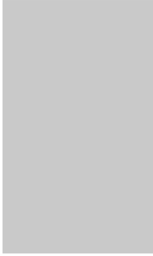 Gris Nube Matte - M17